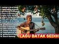 Download Lagu Raund raund ke desa SOPO SORIK | Lagu batak sedih | naeng ro do au inang