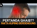 Lagu Benarkah Kuping Berdengung Karena Di Ghibah?