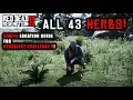 Red Dead Redemption 2 - How To Find All 43 Herbs Flowers Orchids SIMPLE Location Guide