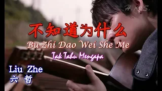 Download Bu Zhi Dao Wei She Me 不知道为什么 六哲 [Tak Tahu Mengapa] MP3