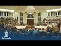 Tattersalls December Mares Sale 2024 Review