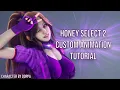 Honey Select 2 Custom Animation Tutorial