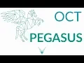 CENTAUR AI Decision Support for OCT volumes