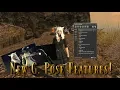FFXIV New 5 1 Group Pose Features