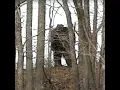 Ep 90 Cryptids TEASER