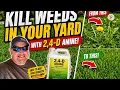 2-4D Amine Weed Killer
