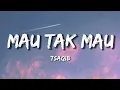 Download Lagu Mau Tak Mau - Tsaqib Lyrics