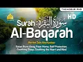 Lagu Surah Al Baqarah - Zain Abu Kautsar [ 002 ] I Beautiful Quran Recitation