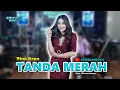 Download Lagu TANDA MERAH - RINA ARPO || ERWEKA MUSIC || RWK.IND STORE