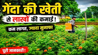 गेंदे की खेती से लाखों की कमाई! 🌼 कम लागत में ज्यादा मुनाफा | Marigold Farming Complete Guide