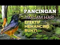 Download Lagu SUARA PANCINGAN MURAI BATU biar Emosi jadi NYAUT BUNYI BONGKAR MATERI ISIAN | TERAPI MURAI BATU 