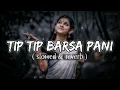 Tip Tip Barsa Pani (slowed & reverb) Romantic Song | lo-fi | | Mohra | Alka Yagnik | Udit Narayan |