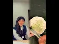 Download Lagu #fyp #lws #memes #youngest #oldestchild #middlechild #youtubeshorts