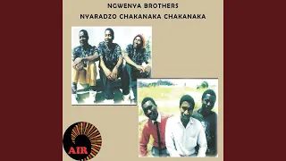 rudo inzira