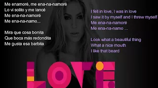 me enamor shakira original audio song with spanish and english translated lyrics