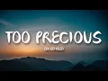 Download Lagu Em Beihold - Too Precious (Lyrics)