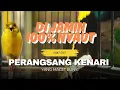 Download Lagu KENARI MACET LANGSUNG NYAUT CUAT CUIT KENARI EMOSI ROLL PANJANG 100% MERANGSANG KENARI MALES BUNYI