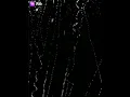 Download Lagu tere karreb aa raha hu whatsapp status....