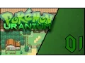 Bambo the Talker Pokemon Uranium Episode