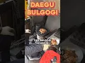 MUST TRY Daegu Style Bulgogi! #korea #koreanfood #bulgogi