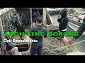 Download Lagu ADOH SING BOKONG CIPT: EMEK ARYANTO original klip Taiwan
