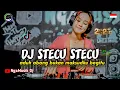 Lagu DJ STECU STECU SETELAN CUEK BARU MALU REMIX VIRAL TIKTOK 2025