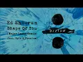 ED SHEERAN - Shape Of You (Major Lazer Remix) [feat. Nyla & Kranium]