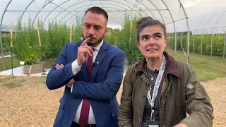 SEED to WEED in NYC