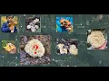 How to Find Mushroom Spots Using Google Maps PNW Foraging Guide