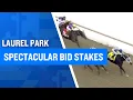 2026 100 000 Spectacular Bid Stakes at Laurel Park
