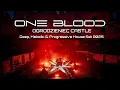 Download Lagu Melodic Techno \u0026 Progressive House 2025|Live @ Zamek Ogrodzieniec 003 (2025) set One Blood[4K]