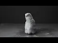 Widowspeak // Breadwinner (Official Video)
