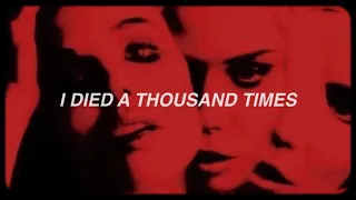 Gorillaz She S My Collar Lyrics 