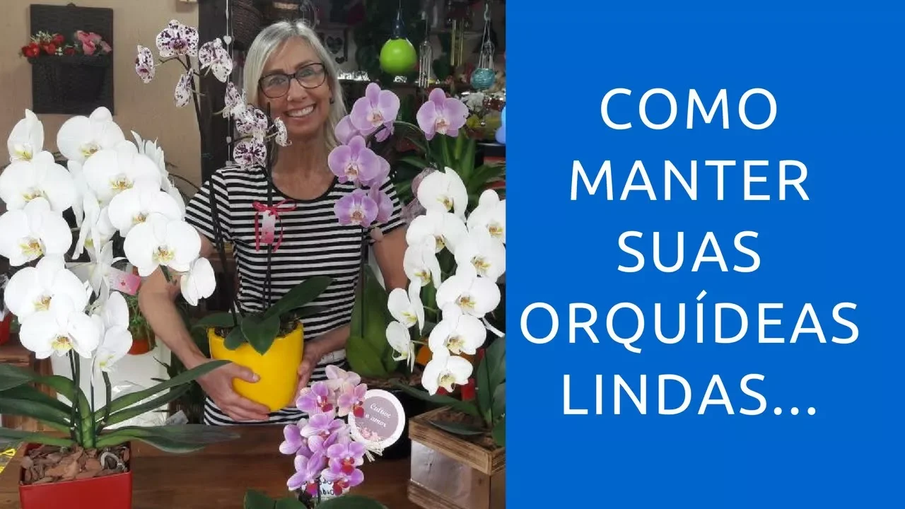 COMO CUIDAR DAS SUAS ORQUÍDEAS MANTER ELAS SEMPRE LINDAS #ORQUÍDEAS #PAISAGISMO #JARDINAGEM #JARDIM