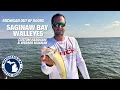 Saginaw Bay Walleye A Completely Custom Handgun - MOOD TV