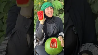 فيلم دهب ف البطيخ هتتصدمو ف اخر الفديو 