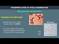 Interpretation of Stool Examination