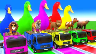 5 Giant Duck Cartoon, Cow, Giraffe, Elephant, Lion, Paint Wild Animals Crossing Fountain Animal Game