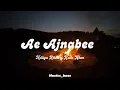 Ae Ajnabee by Aditya Rikhari and Kutle Khan|| (Musicc_boss) 