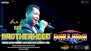 Download RAIB (BUNGA DESA) - BAMS MC - NEW PALLAPA - LIVE BROTHERHOODS 2023 MP3