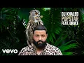 Download Lagu DJ Khaled ft. Drake - POPSTAR (Official Audio)
