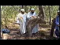 Download Lagu Hajj Emad seen a Ru'ya about Prophet Muhammad (Peace be upon him) and Shaykh Aouni #lesson #lebanon