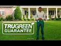 Healthy Trees Shrubs TruGreen Tree Shrub Care Service