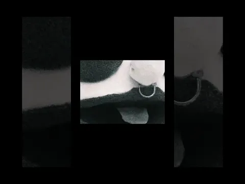 A Film By Trundle