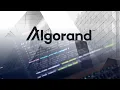 Build Your First Algorand DApp Step-by-Step Guide for Beginners