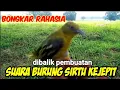 Download Lagu Suara pikat burung Cipow/sirtu kejepit