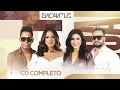 Download Lagu Banda Encantu´s - Ao Vivo - Na Estrada