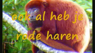 Je mag er zijn