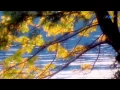 Download Lagu ✿ ♡ ✿ RICHARD CLAYDERMAN \u0026 FRANCIS GOYA  - Memories