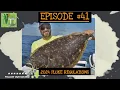 2024 Fluke Regulations with Gerry Zagorski - NJMSP